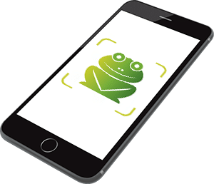 GSM-Grenouille-PC