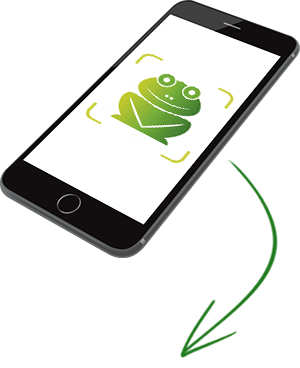 smartphone-Grenouille-Batra smartphone-Grenouille-Batra